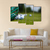 Golf ball basket grass equipment leisure activity Multi Panel Canvas Wall Art