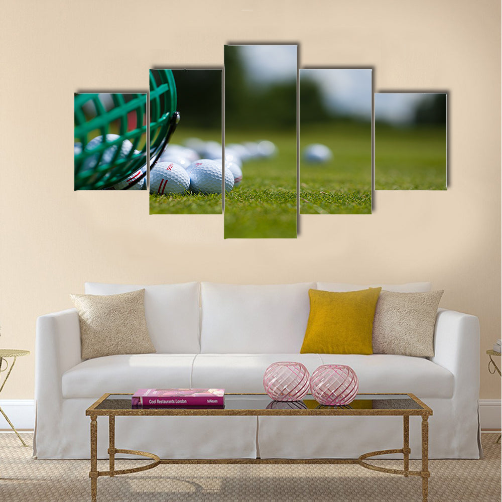 Golf ball basket grass equipment leisure activity Multi Panel Canvas Wall Art