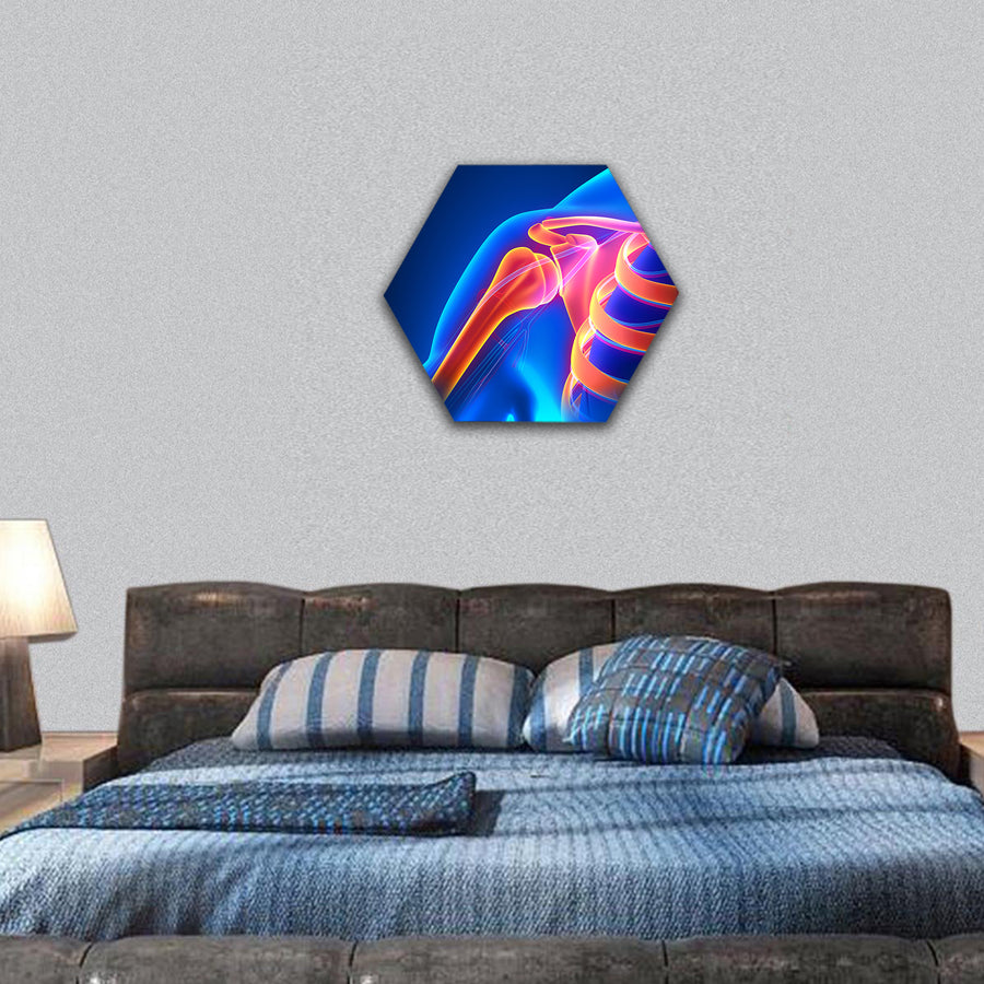 Shoulder Joint Anatomy Pain concept hexagonal canvas wall art