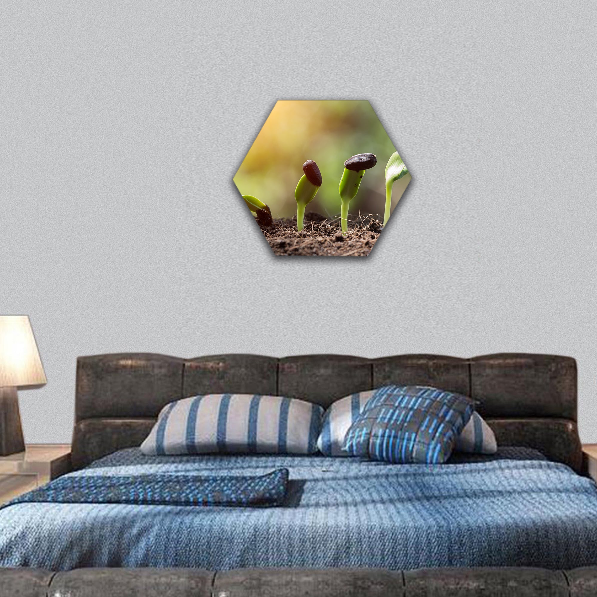 Seed root on soil with sunbeam concept hexagonal canvas wall art