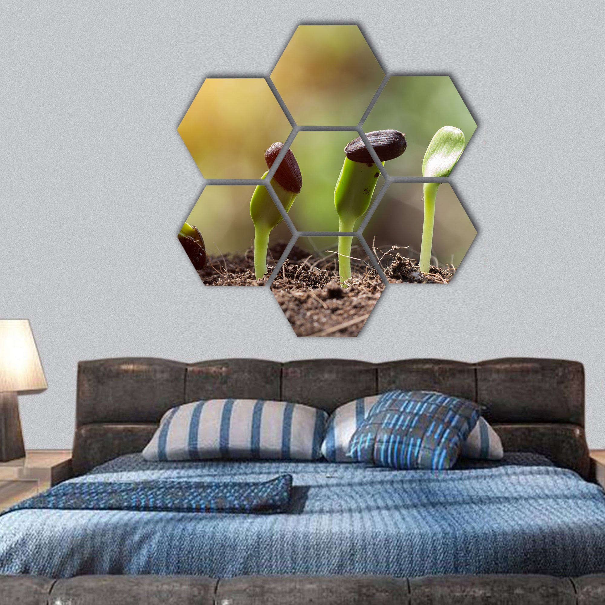 Seed root on soil with sunbeam concept hexagonal canvas wall art