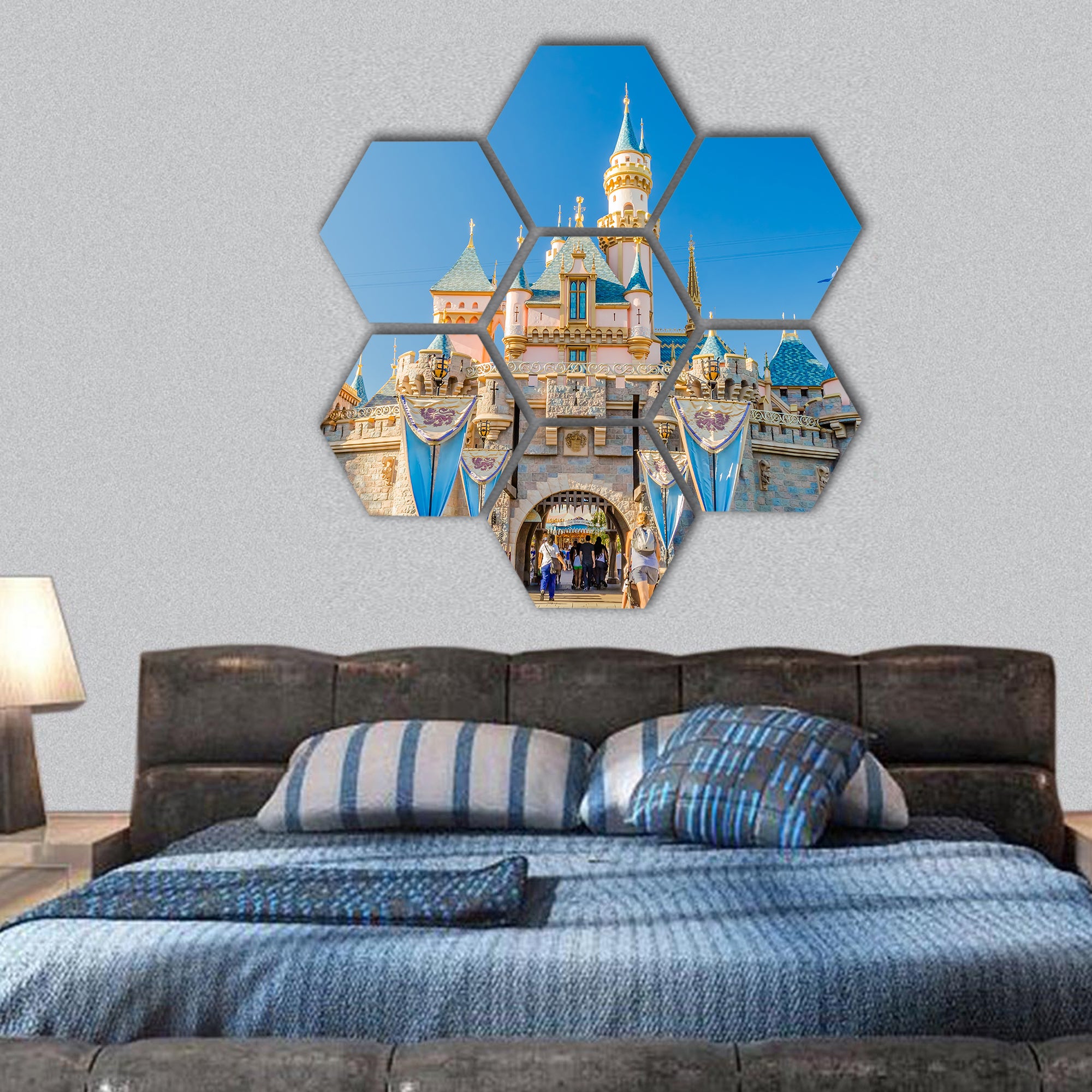Sleeping Beauty Castle at Disneyland Park hexagonal canvas wall art