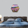 Blossom of crocuses at spring in the mountains hexagonal canvas wall art