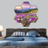 Blossom of crocuses at spring in the mountains hexagonal canvas wall art