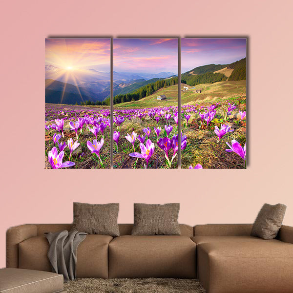 Blossom of crocuses at spring in the mountains multi panel canvas wall art
