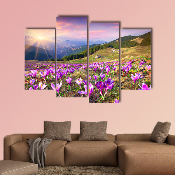 Blossom of crocuses at spring in the mountains multi panel canvas wall art