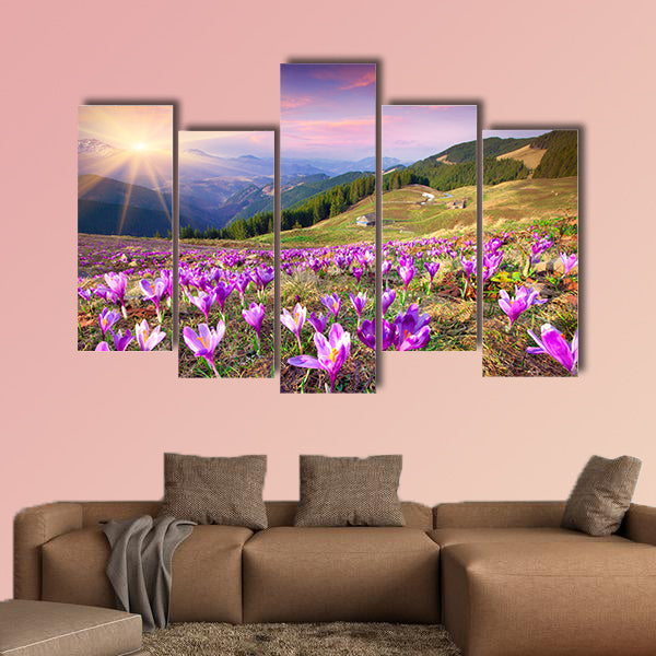 Blossom of crocuses at spring in the mountains multi panel canvas wall art
