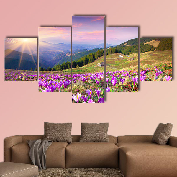 Blossom of crocuses at spring in the mountains multi panel canvas wall art