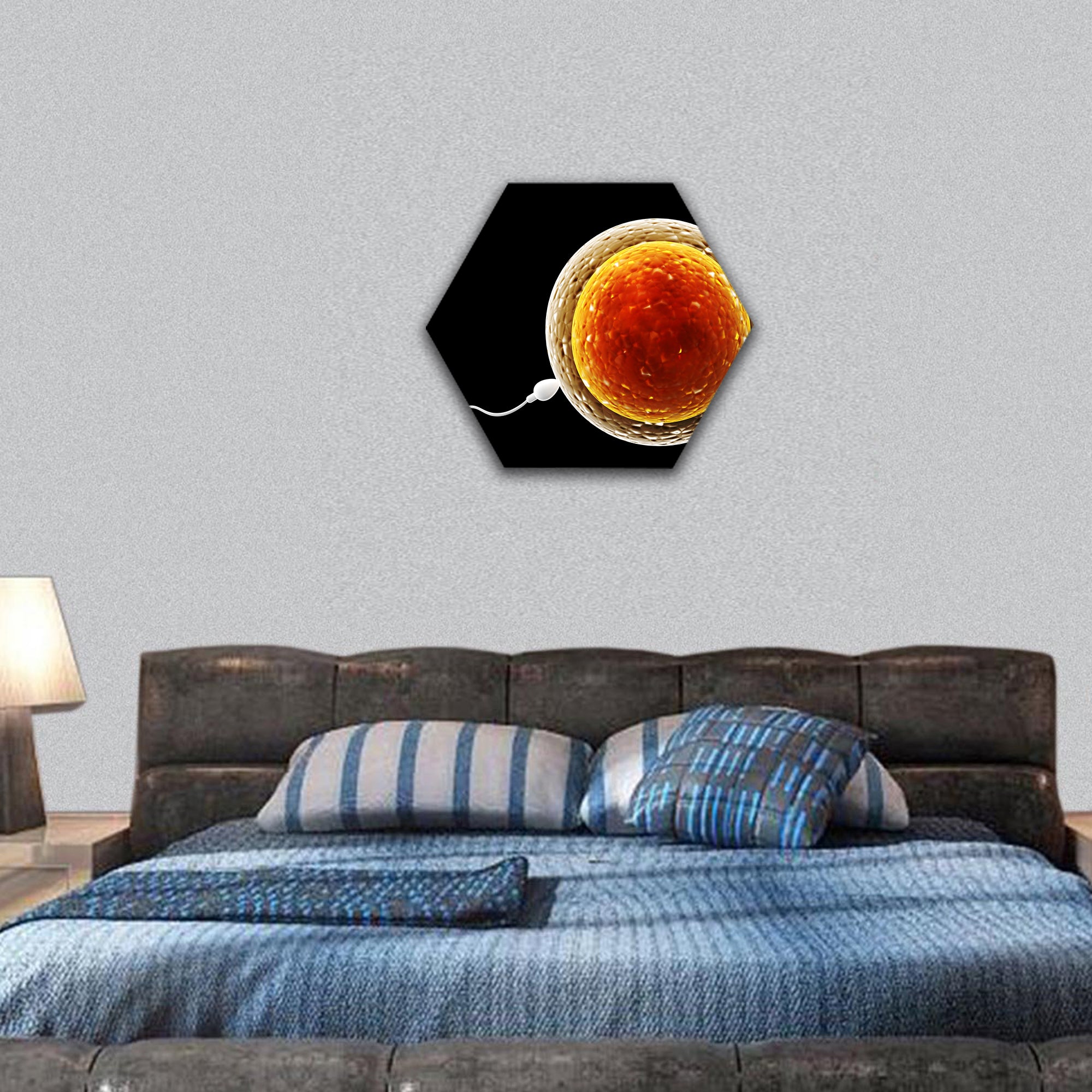 Spermatozoon, floating to ovule hexagonal canvas wall art