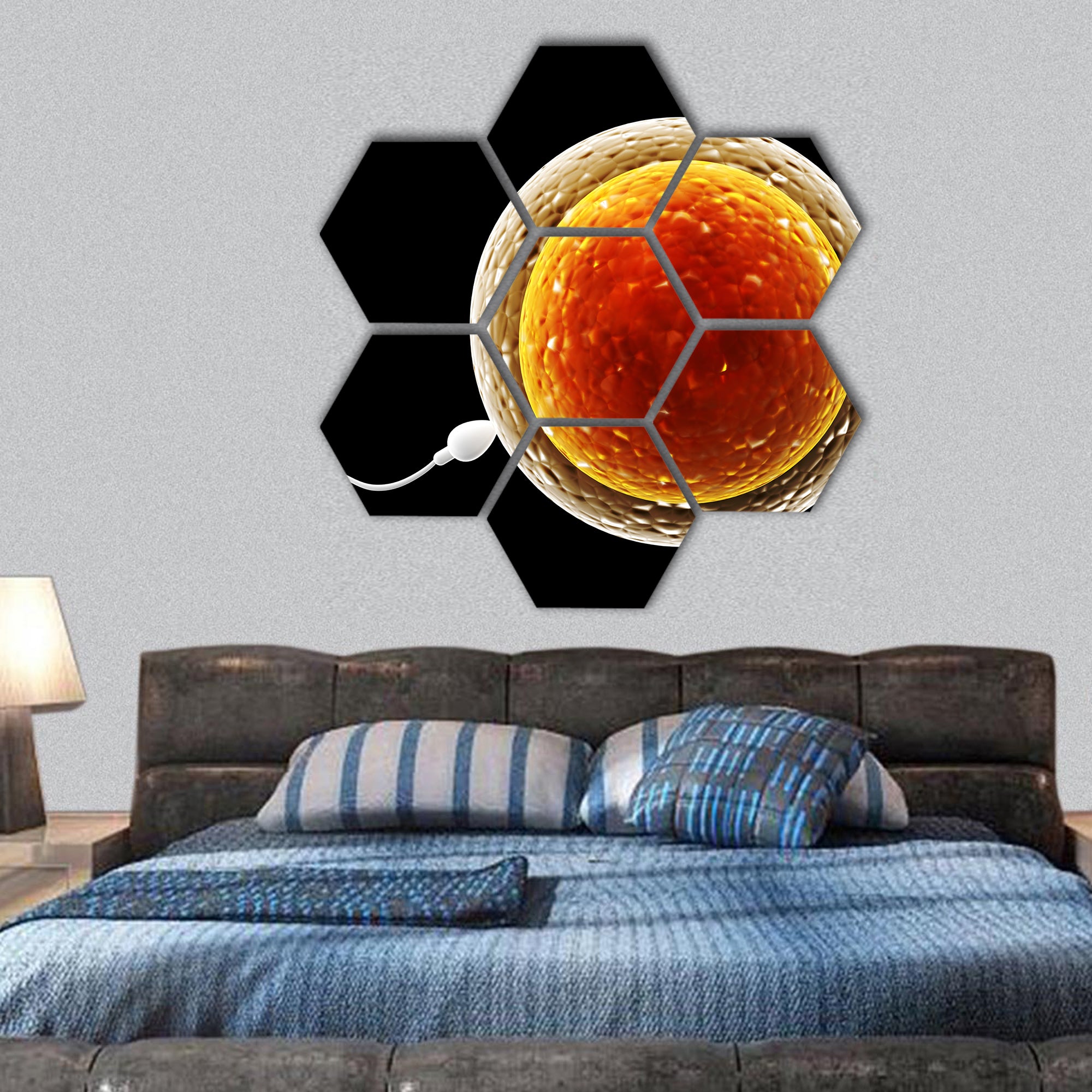 Spermatozoon, floating to ovule hexagonal canvas wall art