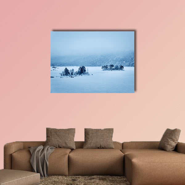 Image of a forest and Lake Eibsee with snow on a cold day in Bavaria wall art