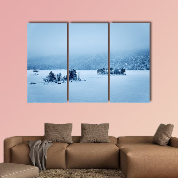 Image of a forest and Lake Eibsee with snow on a cold day in Bavaria wall art