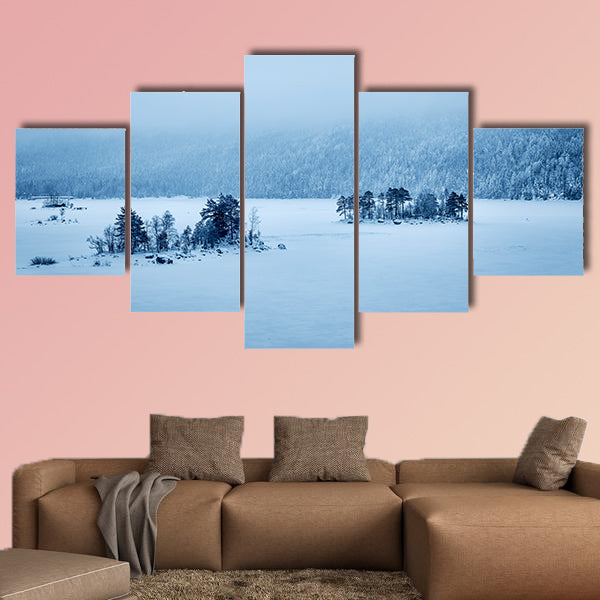 Image of a forest and Lake Eibsee with snow on a cold day in Bavaria wall art
