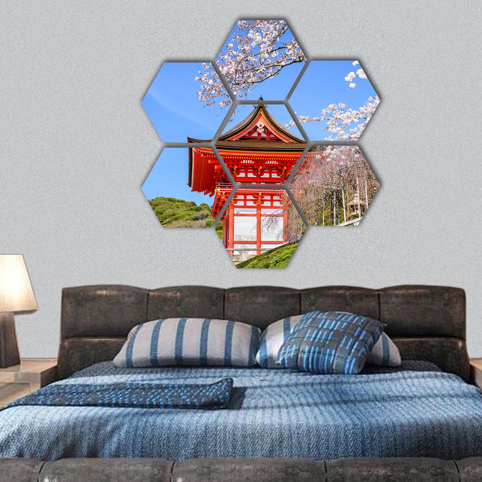 Japan at Kiyomizu-dera Temple in the spring hexagonal canvas wall art