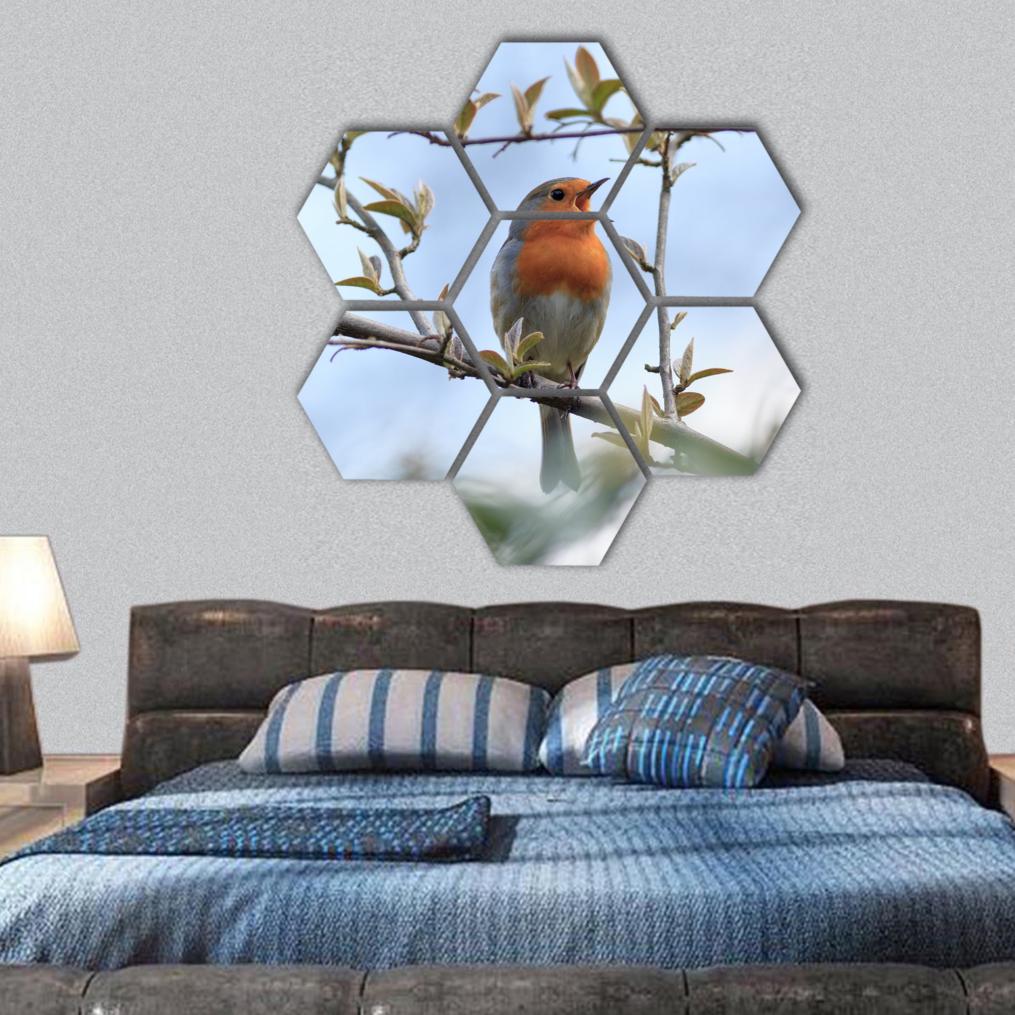 Robin Wild bird in a natural habitat Lower Saxony, Germany hexagonal canvas wall art