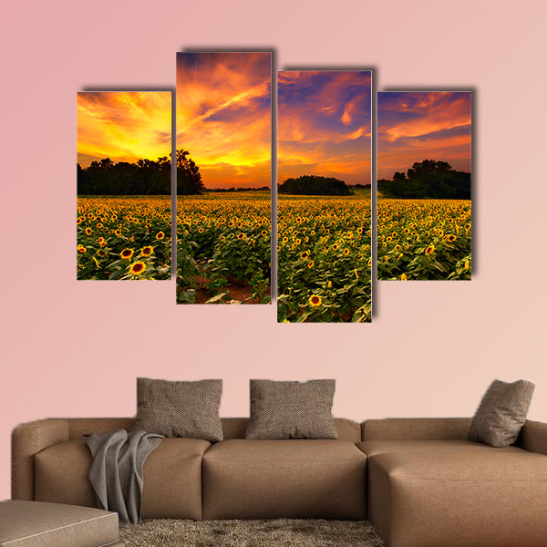 A sunflower field in Kansas with a beautiful sunset Multi panel canvas wall art