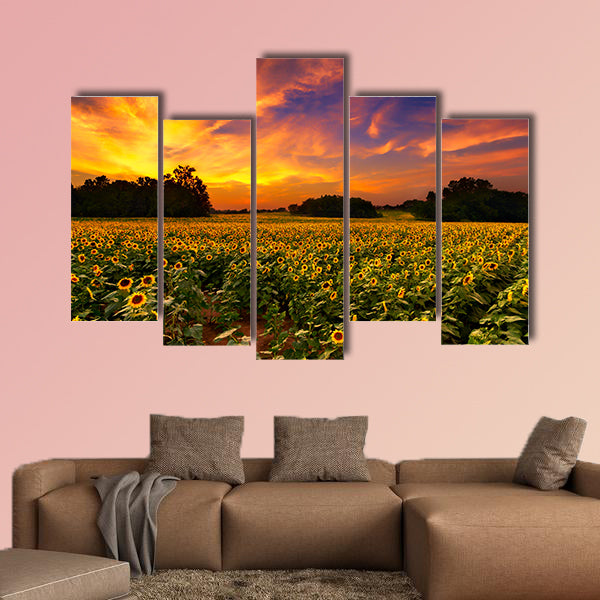 A sunflower field in Kansas with a beautiful sunset Multi panel canvas wall art