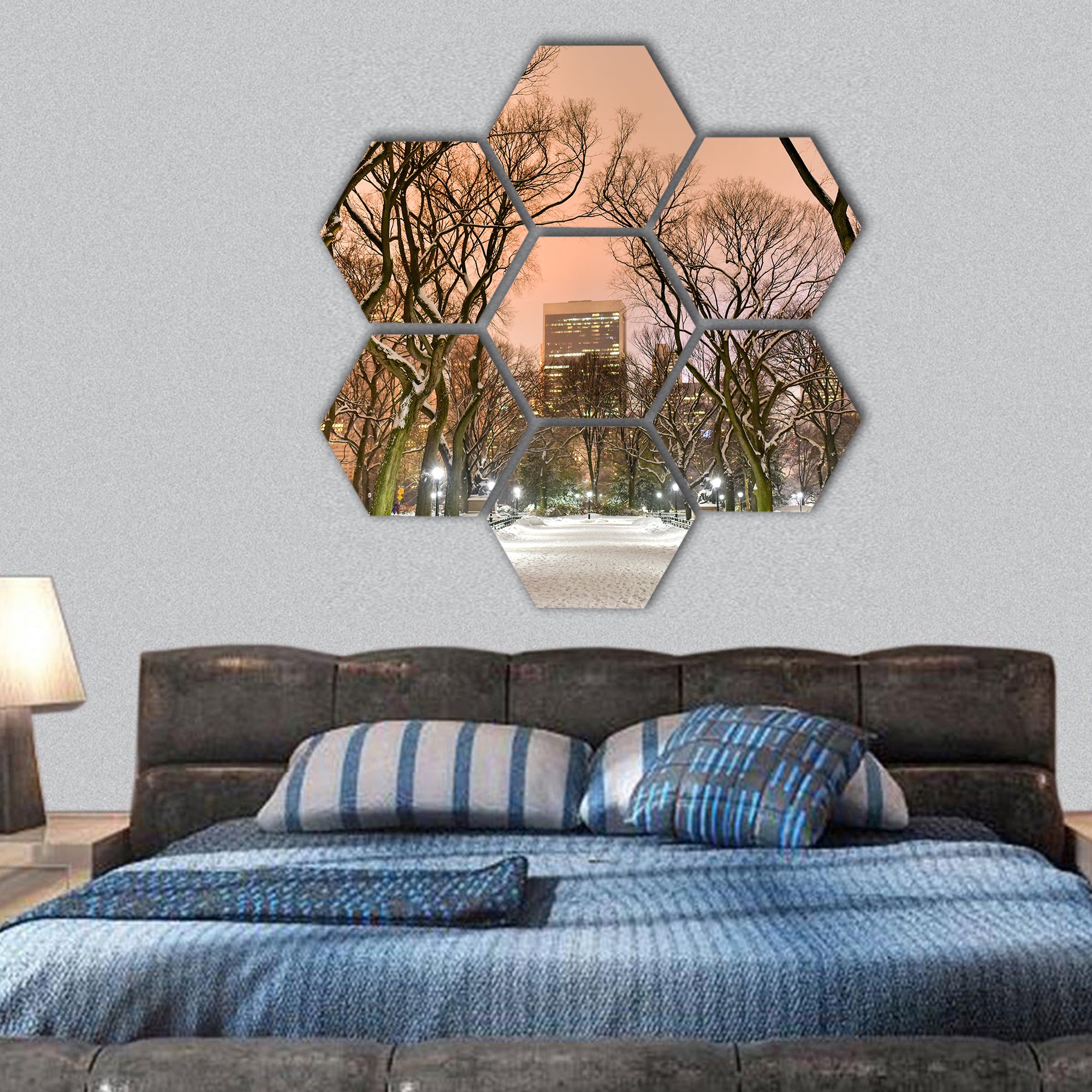 Central Park at night during the winter in New York  hexagonal canvas wall art