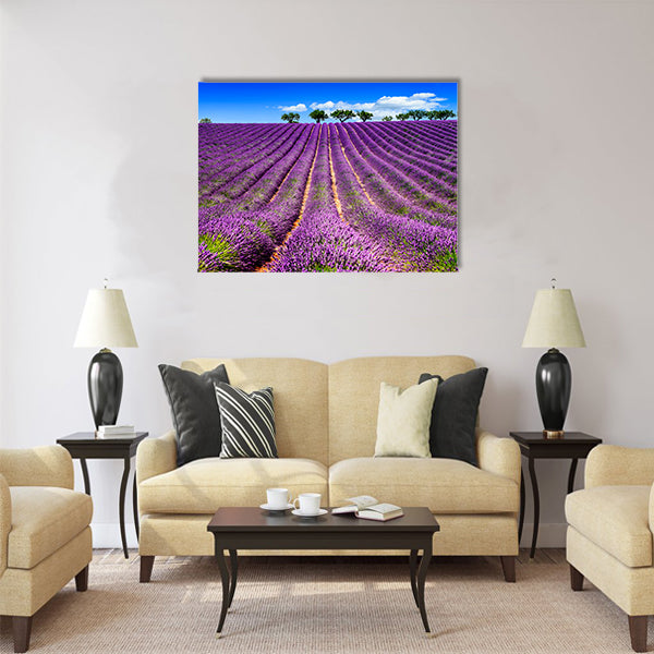 Lavender field in Provence, near Sault Multi Panel Canvas Wall Art