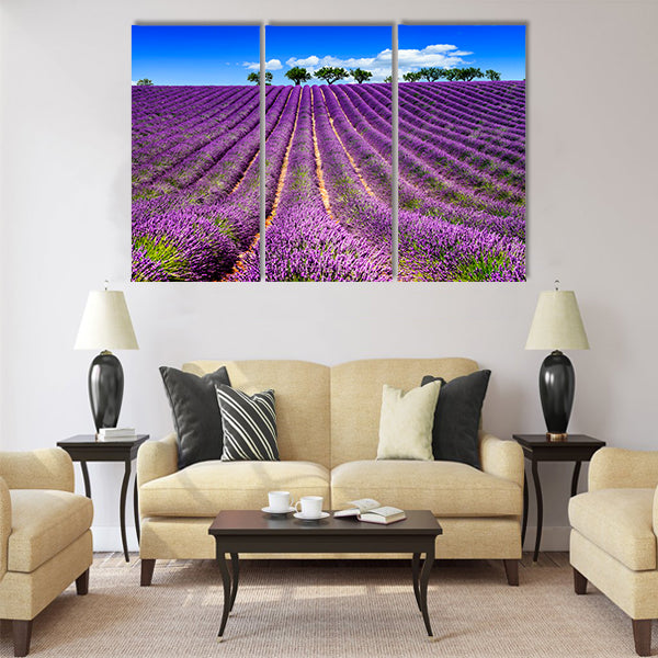 Lavender field in Provence, near Sault Multi Panel Canvas Wall Art