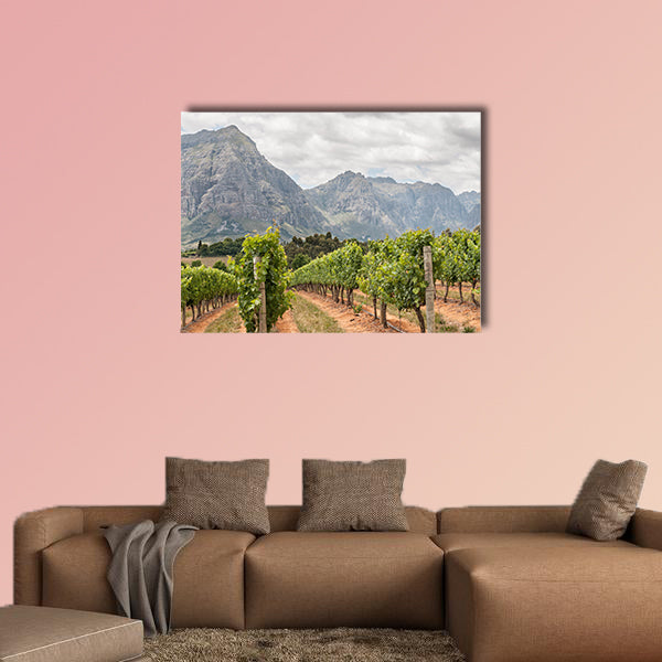 View of vineyards near Stellenbosch in the Western Cape Town multi panel canvas wall art