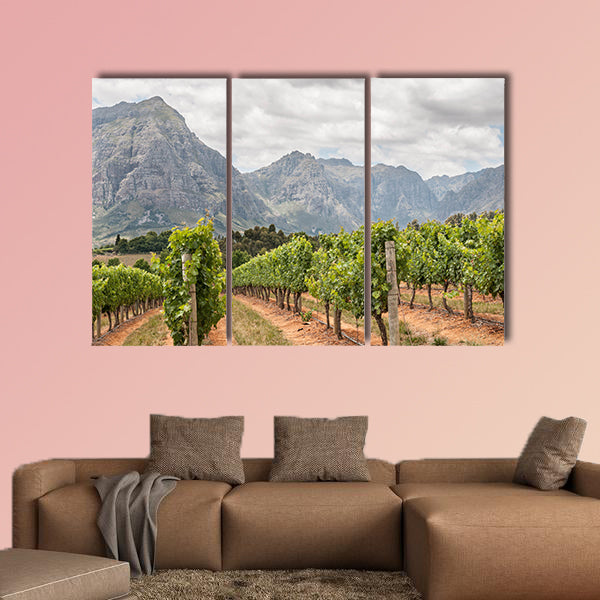 View of vineyards near Stellenbosch in the Western Cape Town multi panel canvas wall art