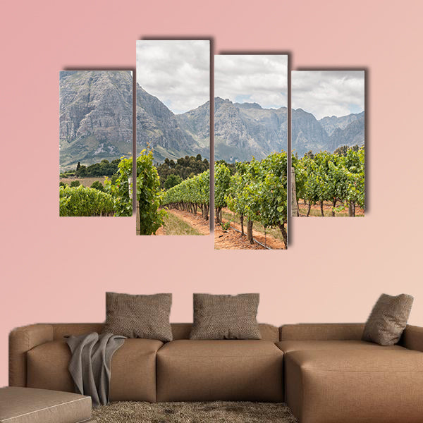 View of vineyards near Stellenbosch in the Western Cape Town multi panel canvas wall art
