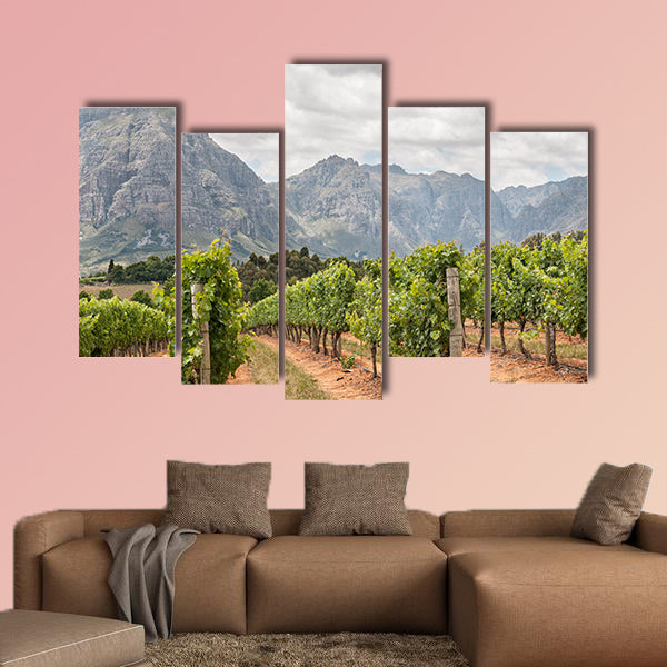 View of vineyards near Stellenbosch in the Western Cape Town multi panel canvas wall art