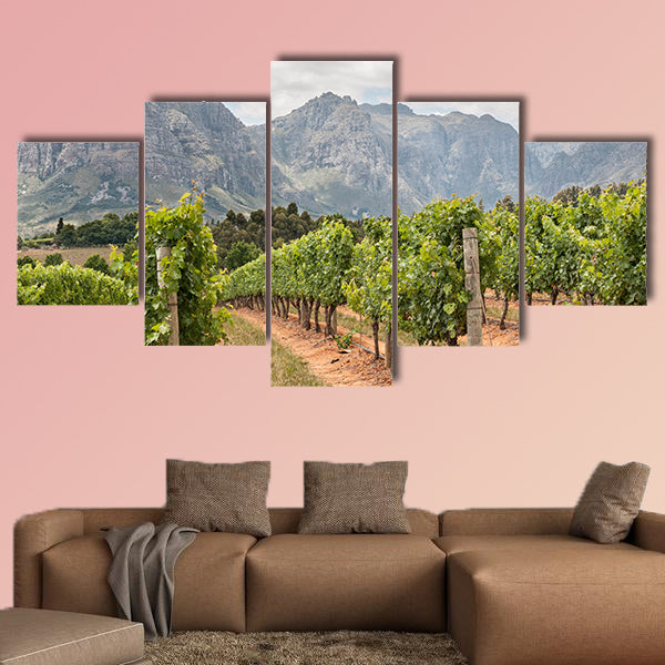View of vineyards near Stellenbosch in the Western Cape Town multi panel canvas wall art