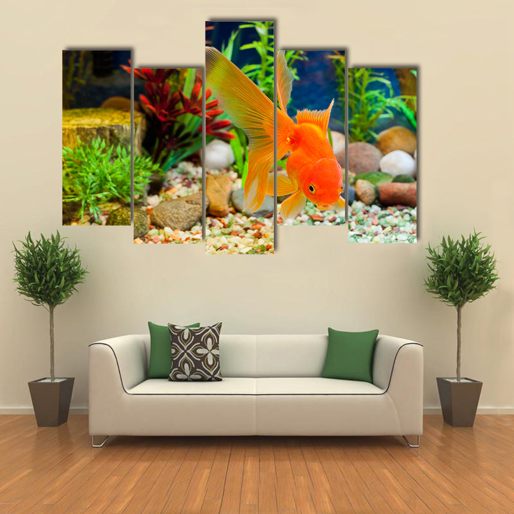 Red Fantail, Hardy Fancy Gold Fish in Planted Aquarium Multi Panel Canvas Wall Art