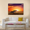 Marine life background - jumping dolphins, beautiful red sunset on sea multi panel canvas wall art