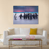 King Penguins in the Falkland Islands multi Panel Canvas wall Art