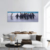 King Penguins in the Falkland Islands panoramic canvas wall art