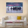 King Penguins in the Falkland Islands multi Panel Canvas wall Art