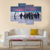 King Penguins in the Falkland Islands multi Panel Canvas wall Art