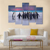 King Penguins in the Falkland Islands multi Panel Canvas wall Art