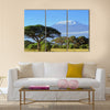 Snow on top of Mount Kilimanjaro in Amboseli Multi Panel Canvas Wall Art