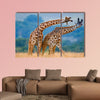  Two giraffe dance with each other, Kenya, Masai Mara multi panel canvas wall art