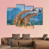  Two giraffe dance with each other, Kenya, Masai Mara multi panel canvas wall art