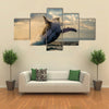 Jump Humpback Whale, The Water Area Of The Island Of St. Mary, Multi Panel Canvas Wall Art