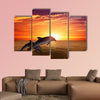 Marine life background - jumping dolphins, beautiful red sunset on sea Multi panel canvas wall art