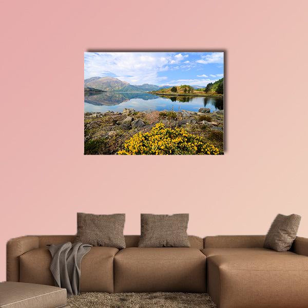 View of the lochs and highlands of Scotland during early spring wall art