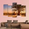 Africa, Ethiopia, huts in a Hamer village in the sunset light wall art