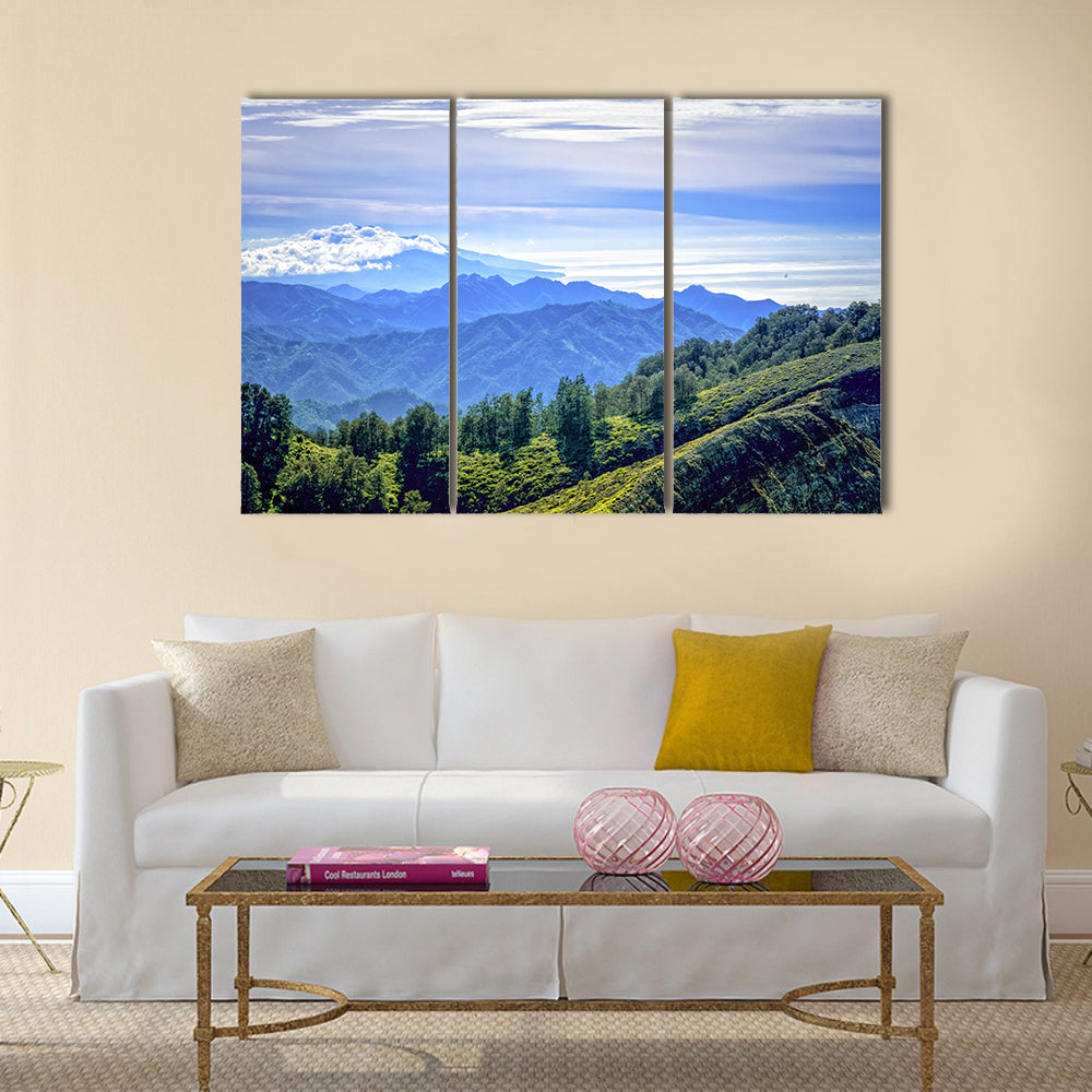 View of the island of Flores, Indonesia showing the mountains go into the sea multi panel canvas wall art