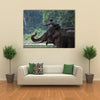 Unidentified mahout tames and plays with his elephant raising its trunk. Multi Panel Canvas Wall Art