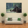 Unidentified mahout tames and plays with his elephant raising its trunk. Multi Panel Canvas Wall Art