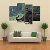 Unidentified mahout tames and plays with his elephant raising its trunk. Multi Panel Canvas Wall Art