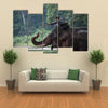 Unidentified mahout tames and plays with his elephant raising its trunk. Multi Panel Canvas Wall Art