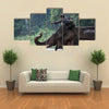 Unidentified mahout tames and plays with his elephant raising its trunk. Multi Panel Canvas Wall Art