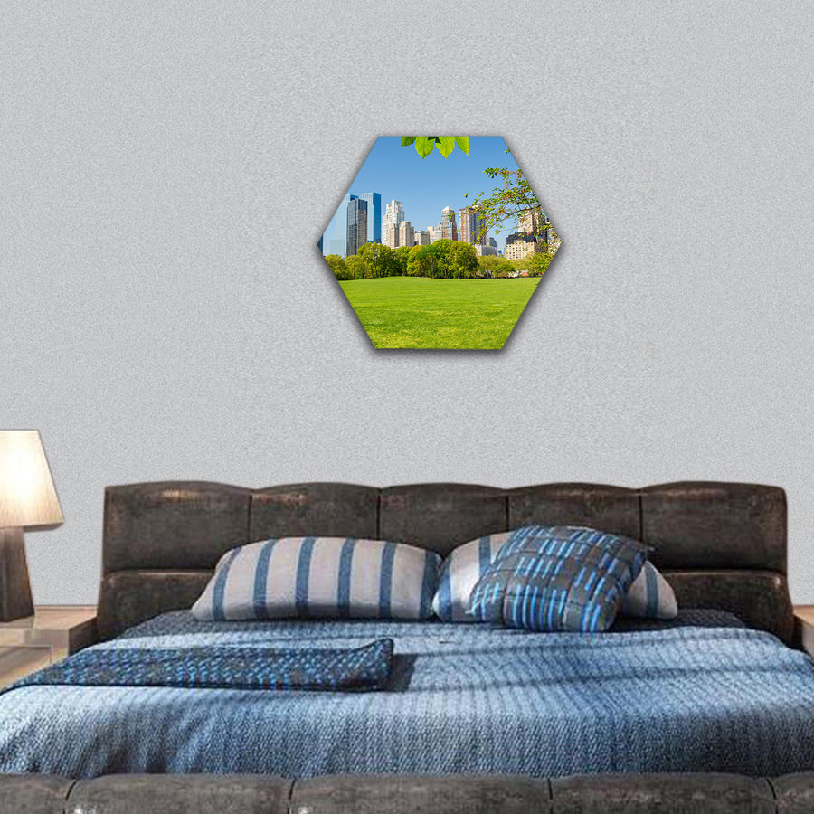 Central park, New York hexagonal canvas wall art